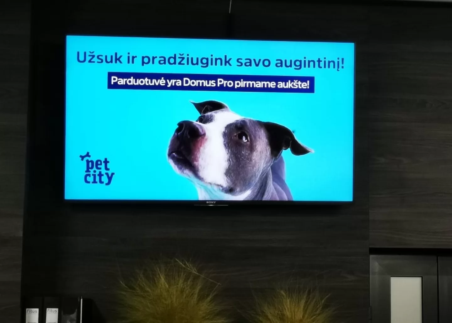 Fitus reklaminiai ekranai