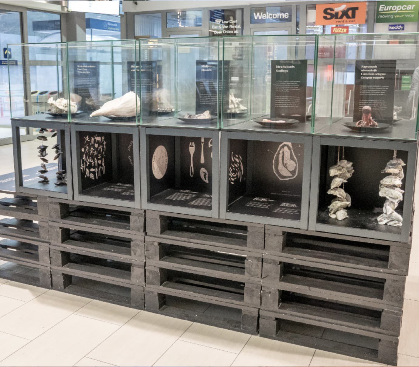 Ekspozicija (Šengeno atvykimo/laukimo salė)