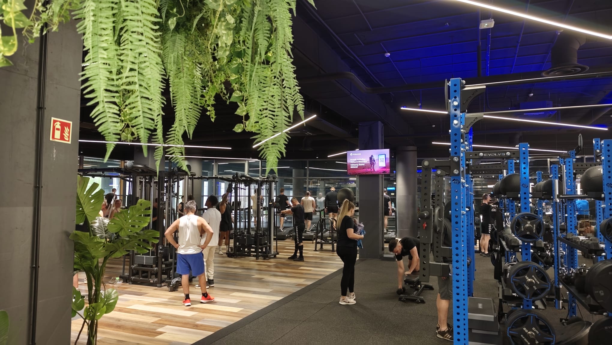Gym Plius PC Ozas