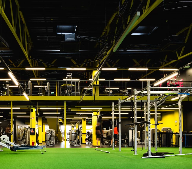 Lemon gym Banginis, P. Lukšio g. 34