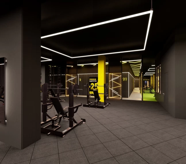 Lemon gym Skraja (yra ir vertikalūs ekranai)