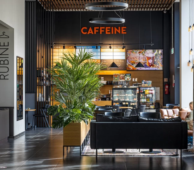 Caffeine Pajūryje, Palanga, Nida, Juodkrantė, Šventoji, Kretinga