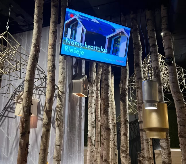 Katpėdėlė Vokiečių g. 3