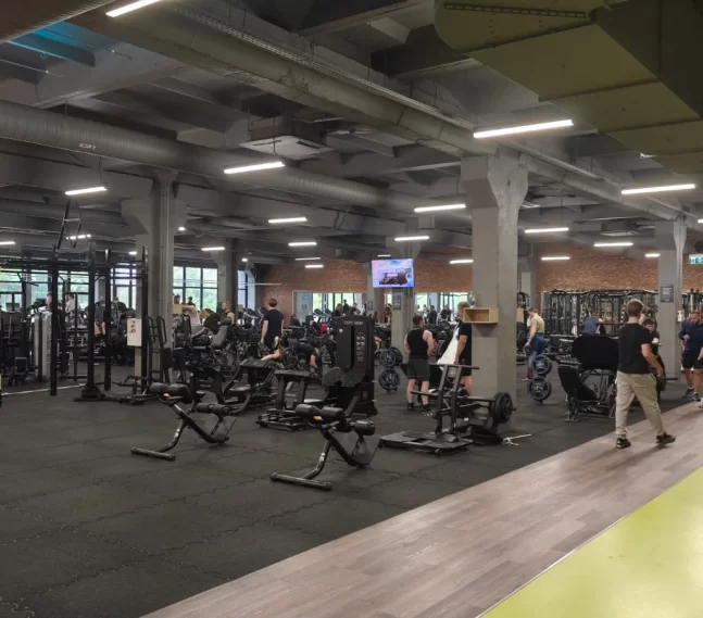 Gym Plius Dariaus ir Girėno g. 2